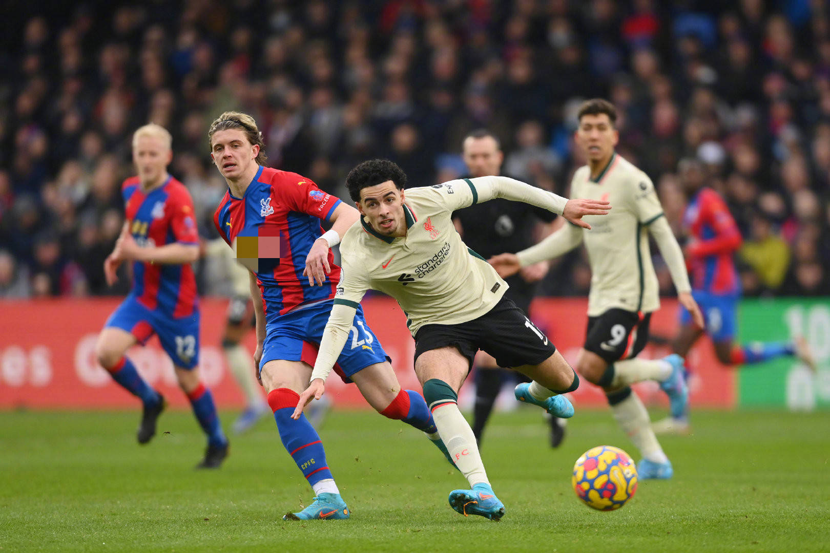 赛中的临场 赛中的临场